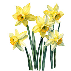 Fototapeta na wymiar narcissus, bouquet of flowers, backgrounds for decorating holidays, Easter, March 8, birthday, mother's day. artificial intelligence generator, AI, neural network image. background for the design.