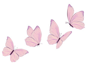 pink watercolor butterflies design 