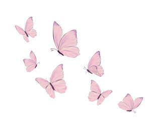 pink butterfly flower positive quote hand