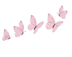 pink buterfly hand drawn design