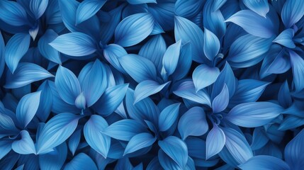 Close up of blue flowers with blue background - obrazy, fototapety, plakaty