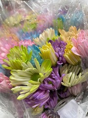 bouquet of colorful daisies