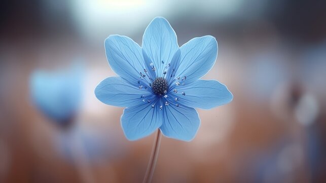 a close up of a blue flower on a blurry background with a blurry image of the back of the flower.
