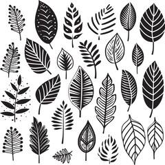 Fototapeta na wymiar Various type of tropical leaves abstract black line Minimalist Outline style on white background