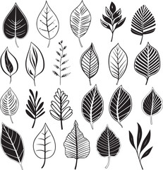 Various type of tropical leaves abstract black line Minimalist Outline style on white background