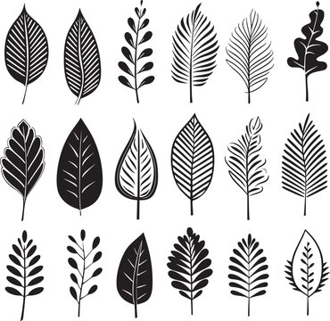 Various type of tropical leaves abstract black line Minimalist Outline style on white background