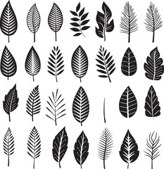Fototapeta na wymiar Various type of tropical leaves abstract black line Minimalist Outline style on white background