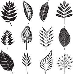 Various type of tropical leaves abstract black line Minimalist Outline style on white background