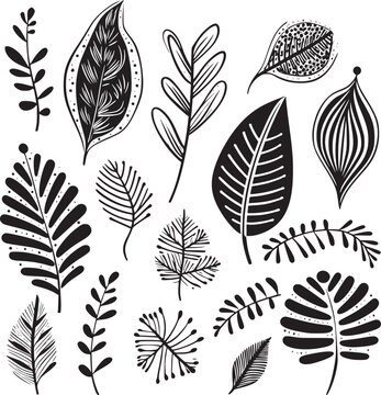 Various type of tropical leaves abstract black line Minimalist Outline style on white background