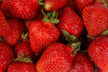 soczyste czerwone dojrzałe truskawki/strawberries
 - obrazy, fototapety, plakaty