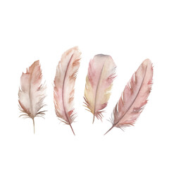 Watercolor drawing feather's set. Isolated images on white background. For decoration, cards, invitations, textile, t-shirts