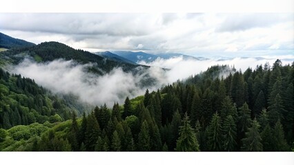 mountain forest landscape with clouds