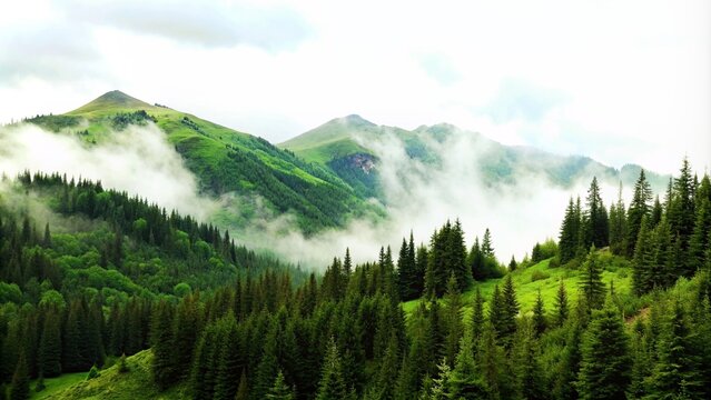 green mountain forest landscape with clouds