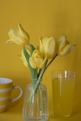 still life with tulips