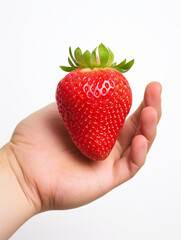 Obraz premium Holding a strawberry in his hand, against a white background сreated with Generative Ai