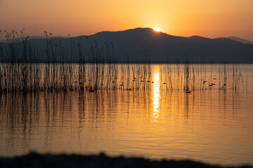 Sonnenaufgang am Ohridsee, Nordmazedonien