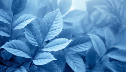 Close-up of blue leaves. Abstract natural backdrop.