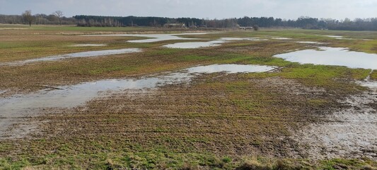 Zalany teren wiejski w okresie wiosennym.