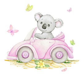 Cute koala, riding a pink car, retro style, surrounded by butterflies. Watercolor animal, clipart on an isolated background.