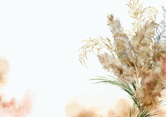 Watercolor horizontal card of dry and gold pampas grass. Hand painted tropical border of exotic dry plant isolated on white background. Floral illustration for design, print, fabric or background. - 765164239