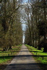 Obraz premium path in the park