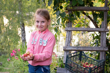 little blonde girl in a red jacket holding apples in her hands on the street	
