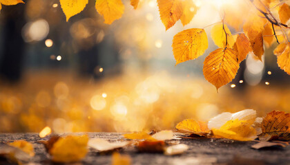 Autumn abstract background with bright yellow leaves and sunshine, bokeh and glow on backdrop.