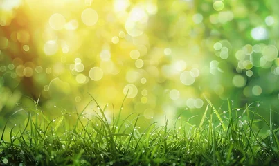 Gordijnen A Vibrant Green Grass Background Illuminated by Sunshine. Sunlit Summer Meadow © wanda