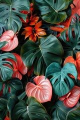 Close up of vibrant tropical plants, perfect for nature backgrounds - obrazy, fototapety, plakaty
