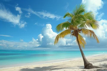 Photo sur Plexiglas Anse Source D'Agent, île de La Digue, Seychelles Beach palm. Nature day resort. Generate Ai