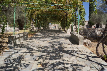 Pergola with vine at Moni Thari (Tharri Monastery) in Laerma, Rhodes (Greece)