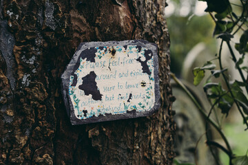 Worn slate sign on a tree