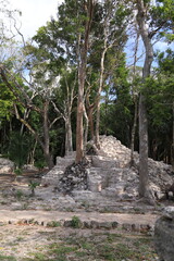 muyil ruins, mexico