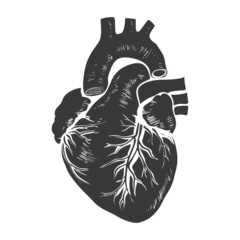 Fotobehang Silhouette for internal organs of heart black color only © NikahGeh