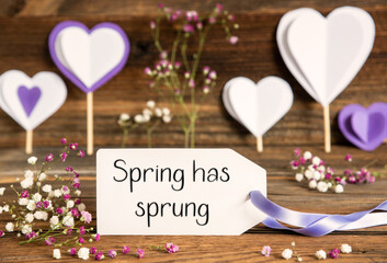 Label With Spring Flowers, Hearts, Text Spring Has Sprung