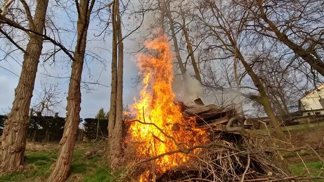 burning branches in a pile is a quick and effective way to clean up the garden. however, it is necessary to comply with fire regulations and to negotiate with tolerant neighbors