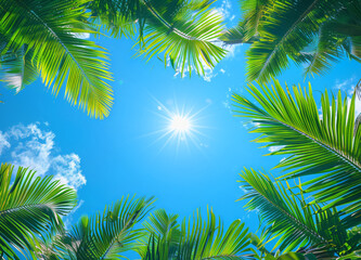 Sunlight filtering through vibrant palm leaves in a clear sky - obrazy, fototapety, plakaty
