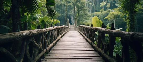 Foto op Plexiglas Wooden pathway amidst dense forest foliage © Ilgun