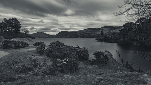 The arrival of spring at Derwent Water, Lake District (black and white)