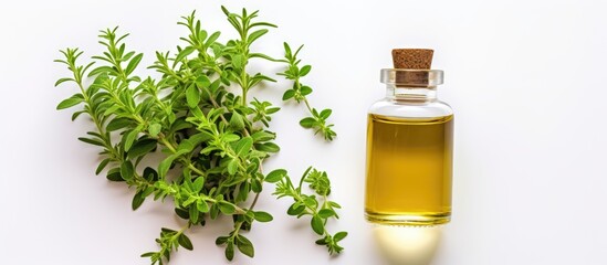 Aromatic thyme essential oil on a plain white backdrop - Powered by Adobe