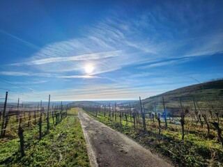 road to the sky