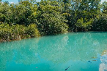 Partial view of the Formoso River, in the municipal resort, in Bonito, in Mato Grosso do Sul. The city is one of the main ecotourism destinations in Brazil