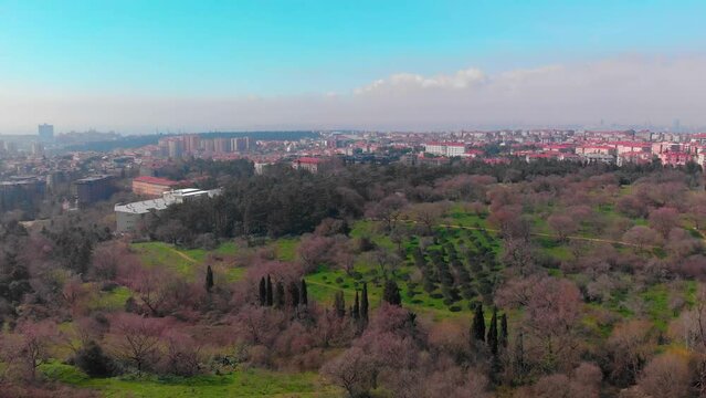 Validebag Grove or Adile Sultan Grove is located in the Uskudar district of Istanbul and is the second largest green area on the Anatolian side of Istanbul.