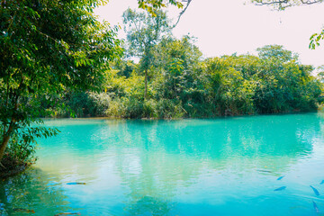 Partial view of the Formoso River, in the municipal resort, in Bonito, in Mato Grosso do Sul. The...