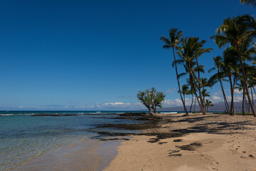 hawaii island beach