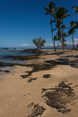 hawaii island beach