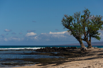 hawaii island beach