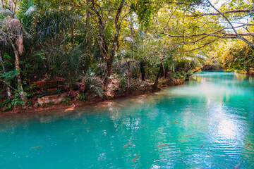 Rio Formoso, in the city of Bonito, in Mato Grosso do Sul. Bonito is one of the main ecotourism destinations in Brazil