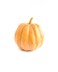 Close up of pumpkin, White background, Harvest, Autumn