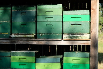 FU 2022-08-03 Heidschnucke 332 Im Regal stehen grüne Bienenkörbe